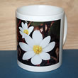 mug DS-047 6746